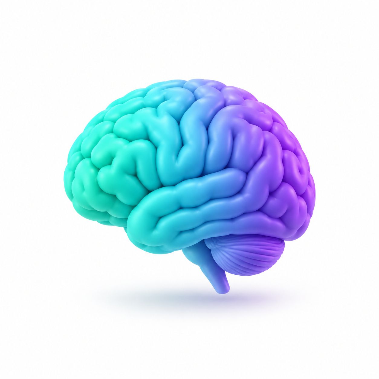 Semantic SEO: Where Synonym Lists Stop Working - Arfadia